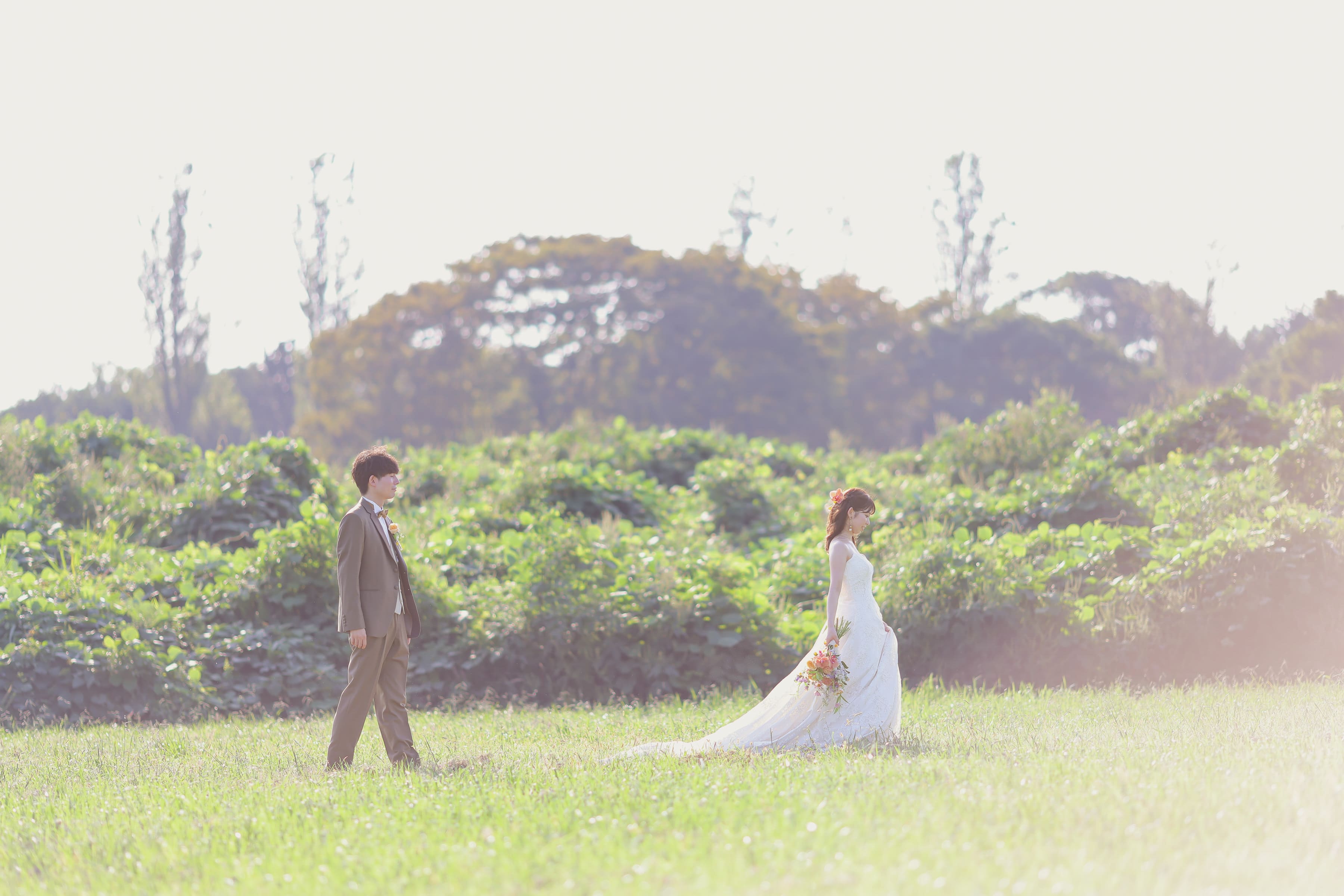 フォトウエディングキャンペーン画像