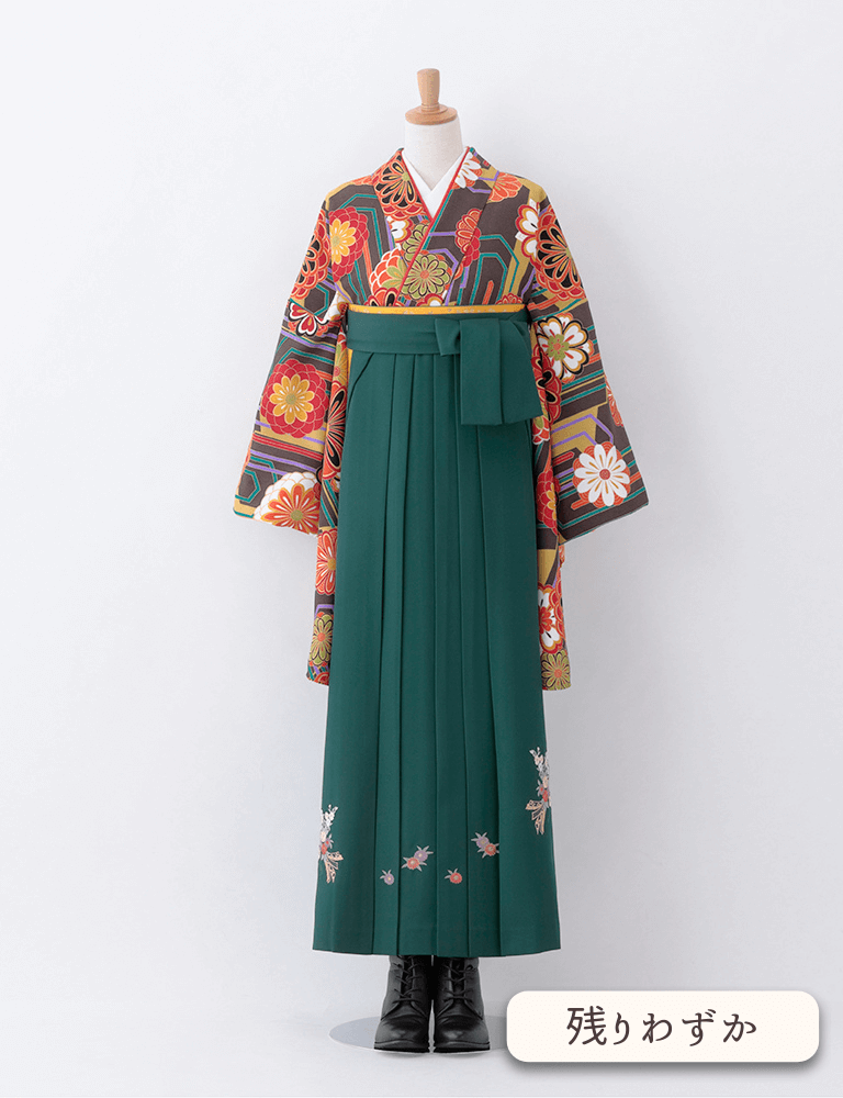 〈着物〉こげ茶色 モダン小紋着物 〈袴〉グリーン色 熨斗目花束の刺繍袴 【T094】
