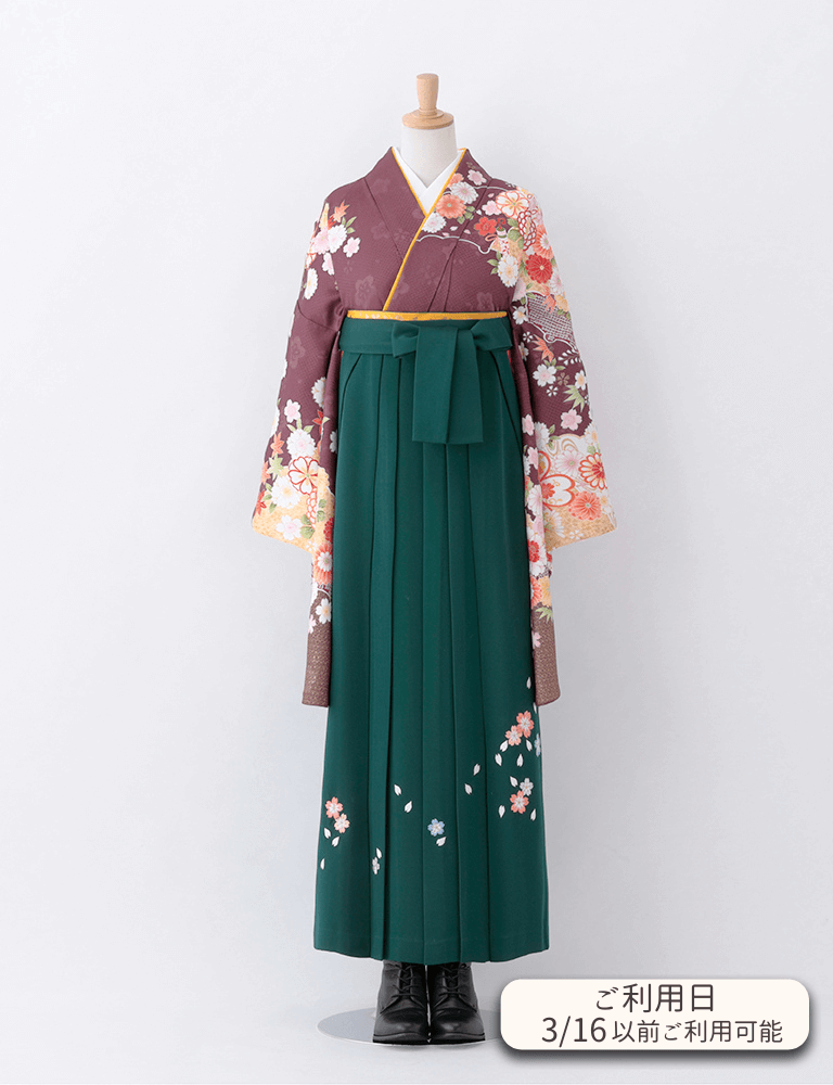 〈着物〉紫茶色 雪輪に花柄着物 〈袴〉グリーン色 桜ちらし刺繡袴 【T103】