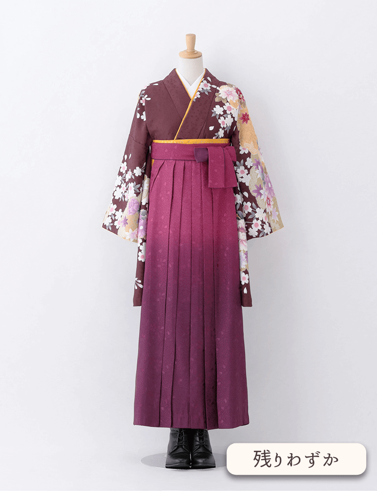 〈着物〉こげ茶色 雲取りに牡丹柄着物 〈袴〉ワイン色ぼかし 桜地模様袴 【T108】