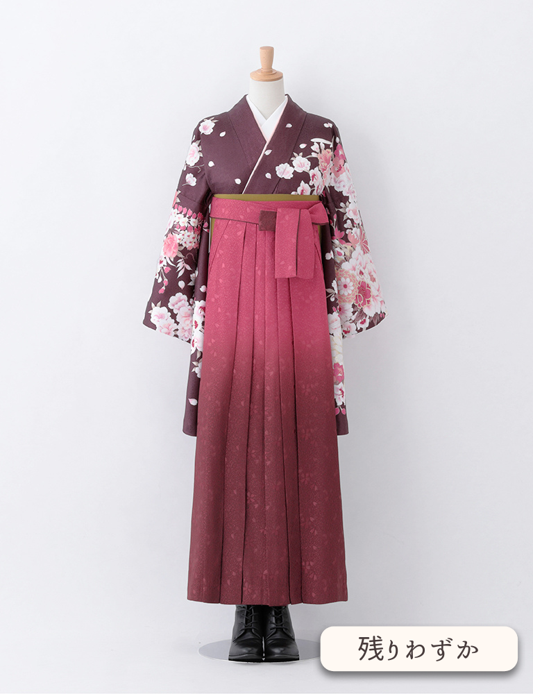 〈着物〉こげ茶色 牡丹に菊柄着物 〈袴〉ローズ色ぼかし 桜地模様袴 【T116】