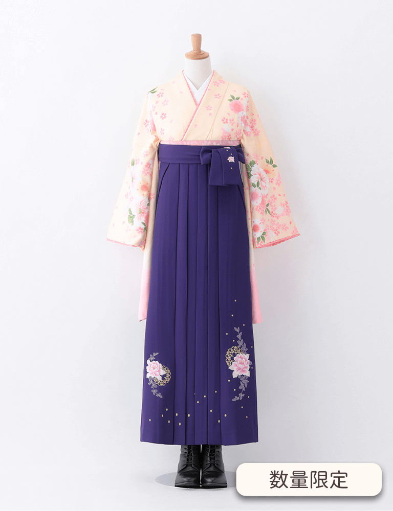 〈着物〉クリーム色 マーガレット柄 着物 〈袴〉紫色 花王冠刺繍袴 【T151】