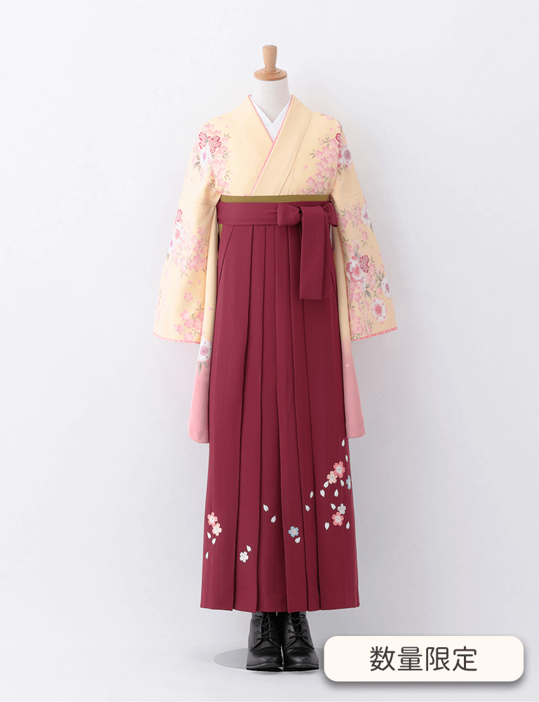 〈着物〉クリーム色 刺繍桜柄着物 〈袴〉エンジ色 桜ちらし刺繍袴 【T154】