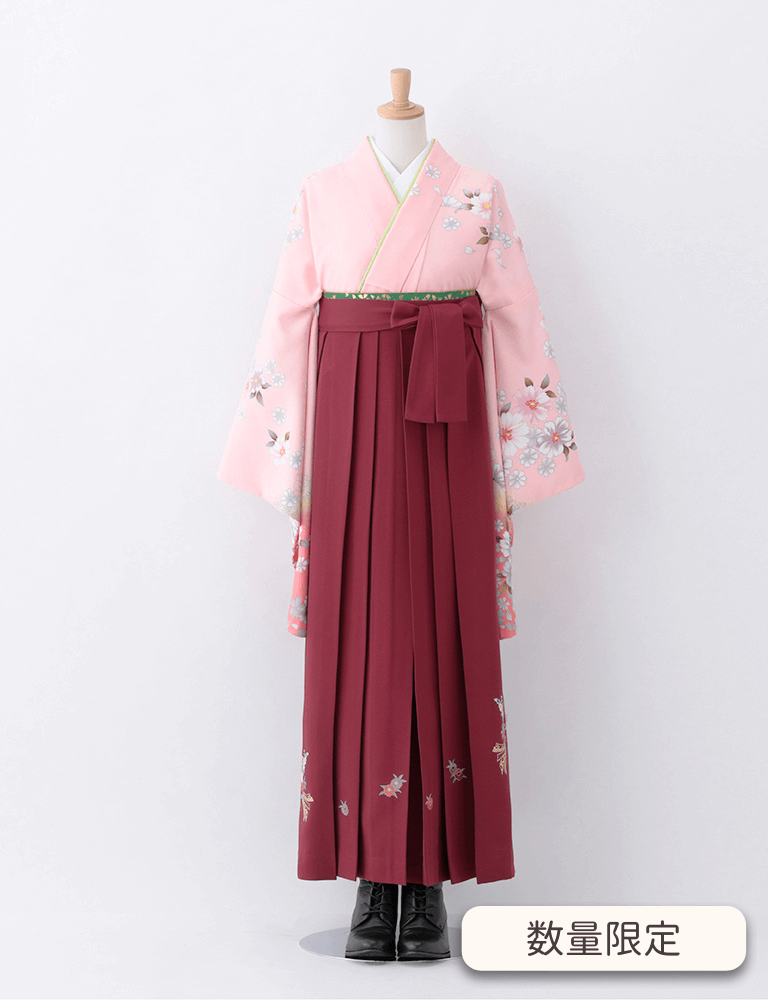 〈着物〉ピンク色 シルエット柄着物 〈袴〉エンジ色 熨斗目花束の刺繍袴 【T165】
