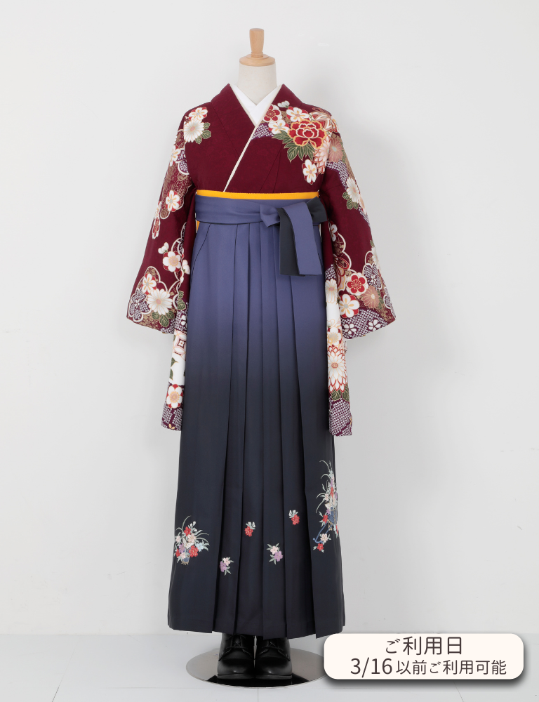 〈着物〉エンジ色 雲撮り慶長柄 〈袴〉紺色＆ブルー色ぼかし 花車の刺繍袴 【T072】