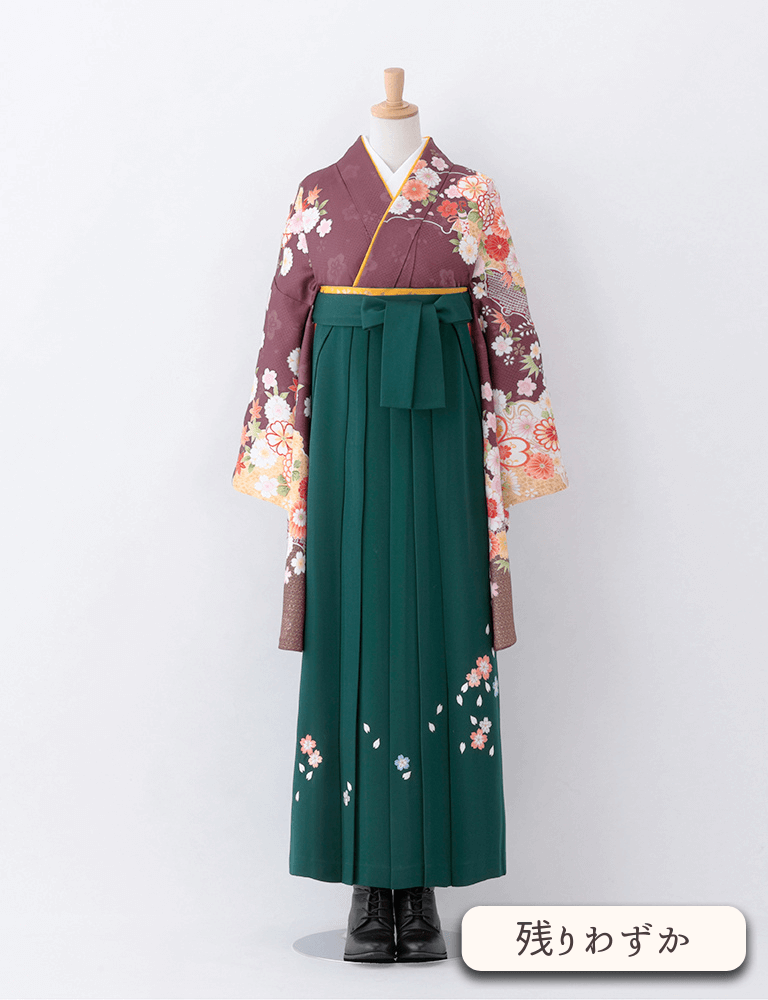 〈着物〉紫茶色 雪輪に花柄着物 〈袴〉グリーン色 桜ちらし刺繡袴 【T103】