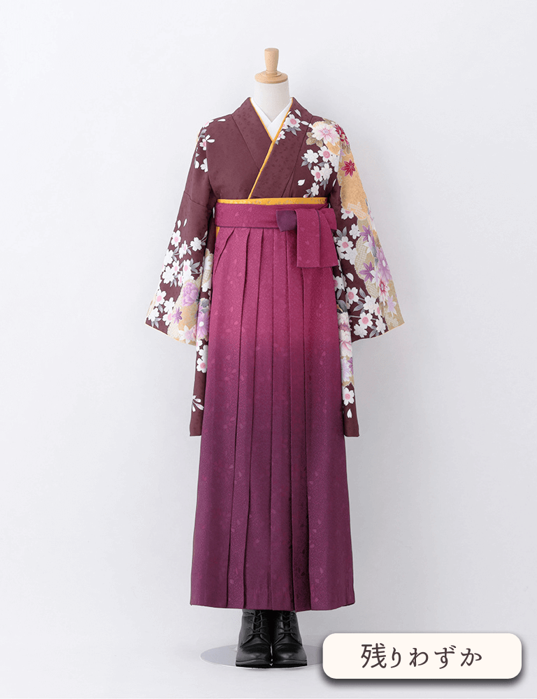 〈着物〉こげ茶色 雲取りに牡丹柄着物 〈袴〉ワイン色ぼかし 桜地模様袴 【T108】