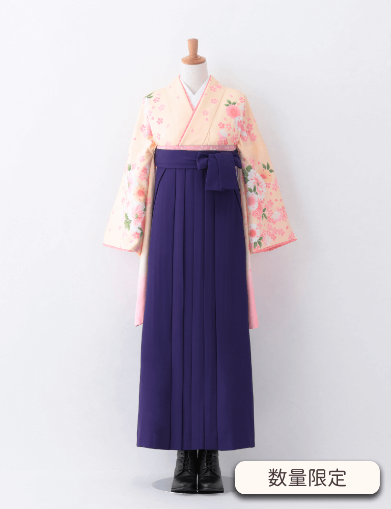 〈着物〉クリーム色 マーガレット柄 着物 〈袴〉紫色 無地袴 【T191】