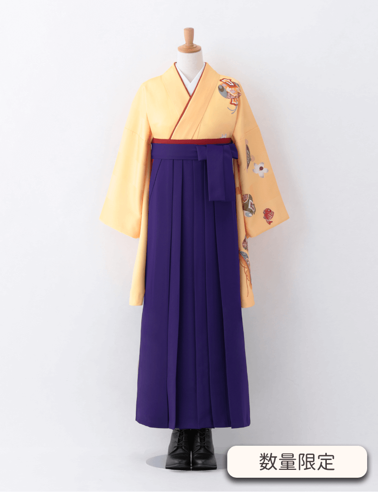 〈着物〉クリーム色 宝柄着物 〈袴〉紫色 無地袴 【T194】